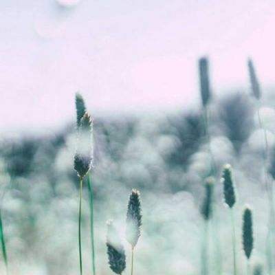 小罗代言米乐体育app下载手机版截图